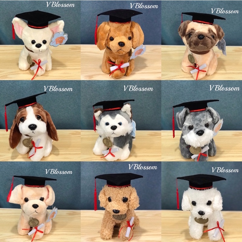 graduation puppy plush