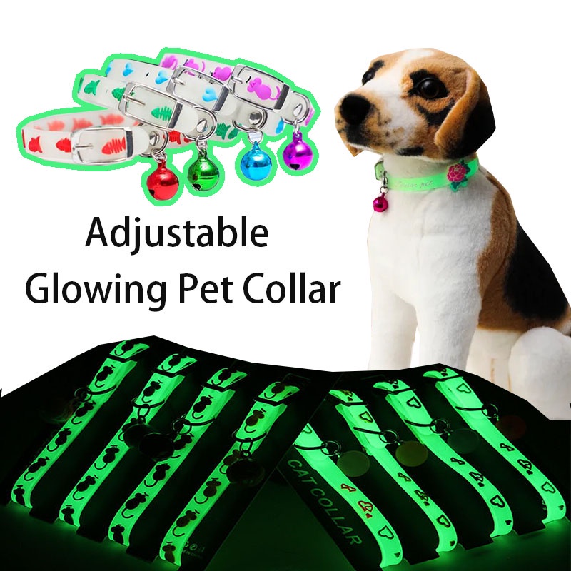 Fluorescent cat clearance collar