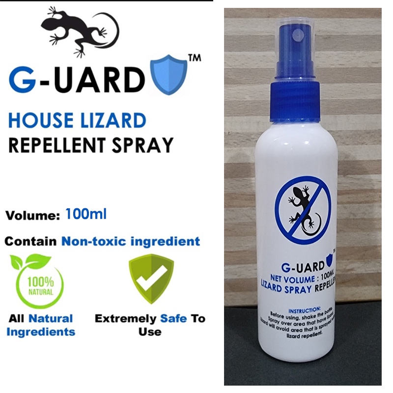 How to Use Lizard Control Products to Safeguard Your Home?, by BugsStop  Singapore