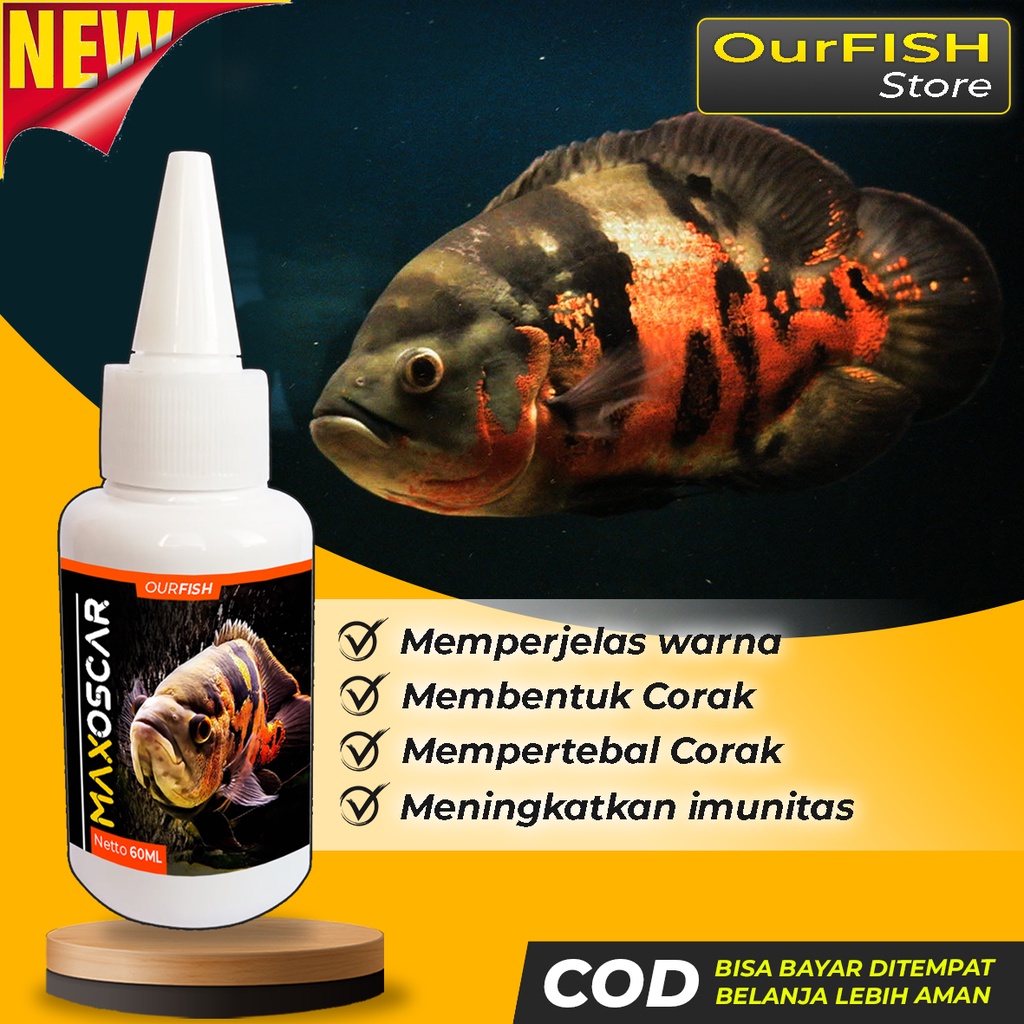 Oscar fish best sale food online