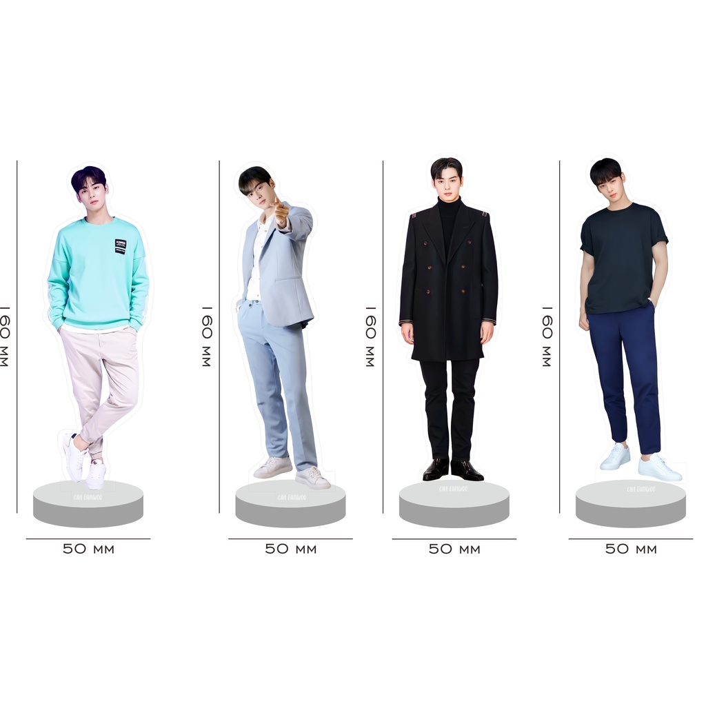 Standing Figure Cha Eun Woo Eunwoo Astro Standee Acrylic K Drama