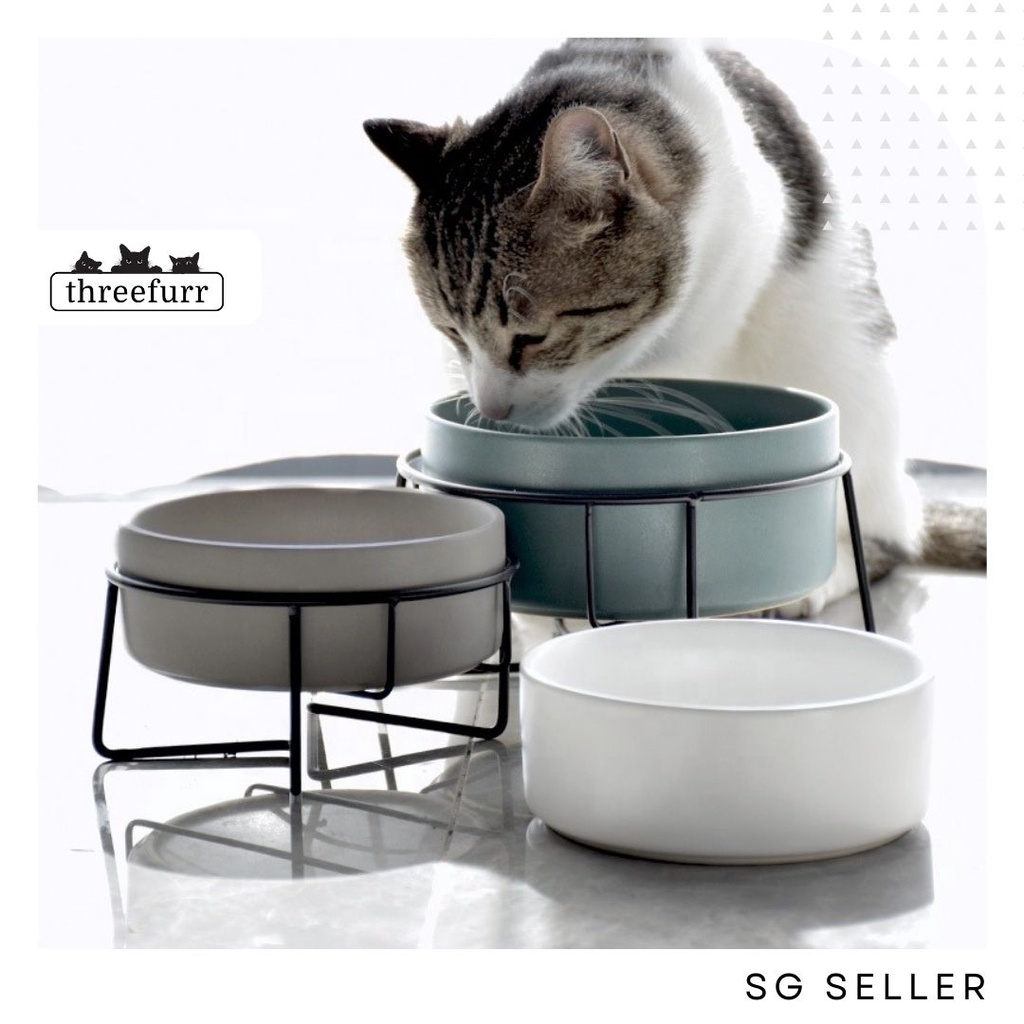 Elevated cat shop bowl stand