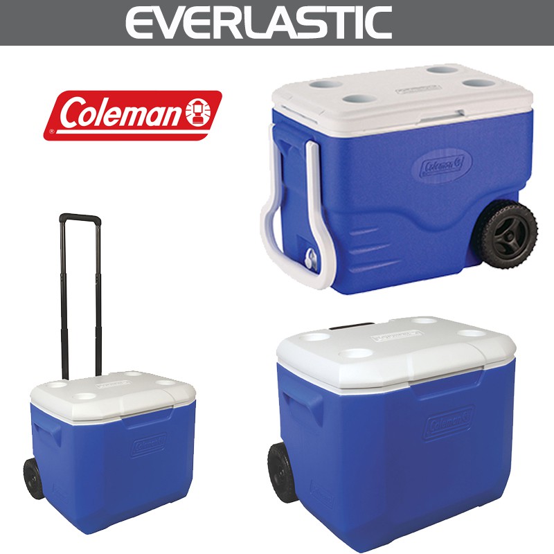 Coleman hot sale ice bucket