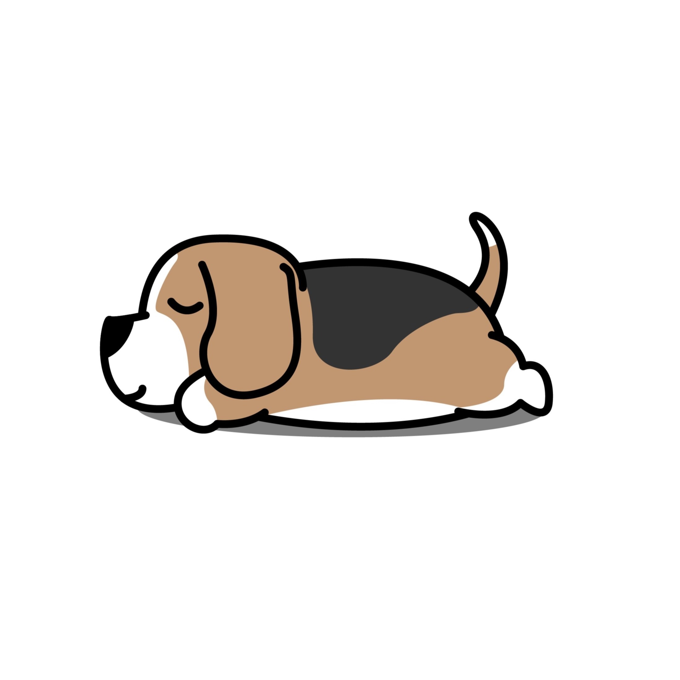 lazy-dog-online-shop-shopee-singapore