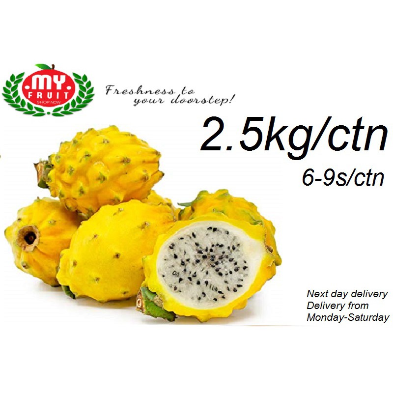 Dragon Fruit (Yellow)