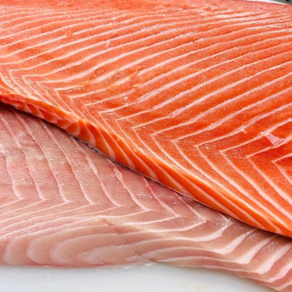 Dish The Fish Official Store, Online Shop Jul 2024 Shopee Singapore