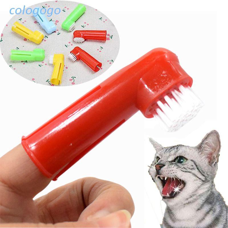 Finger brush outlet for cats