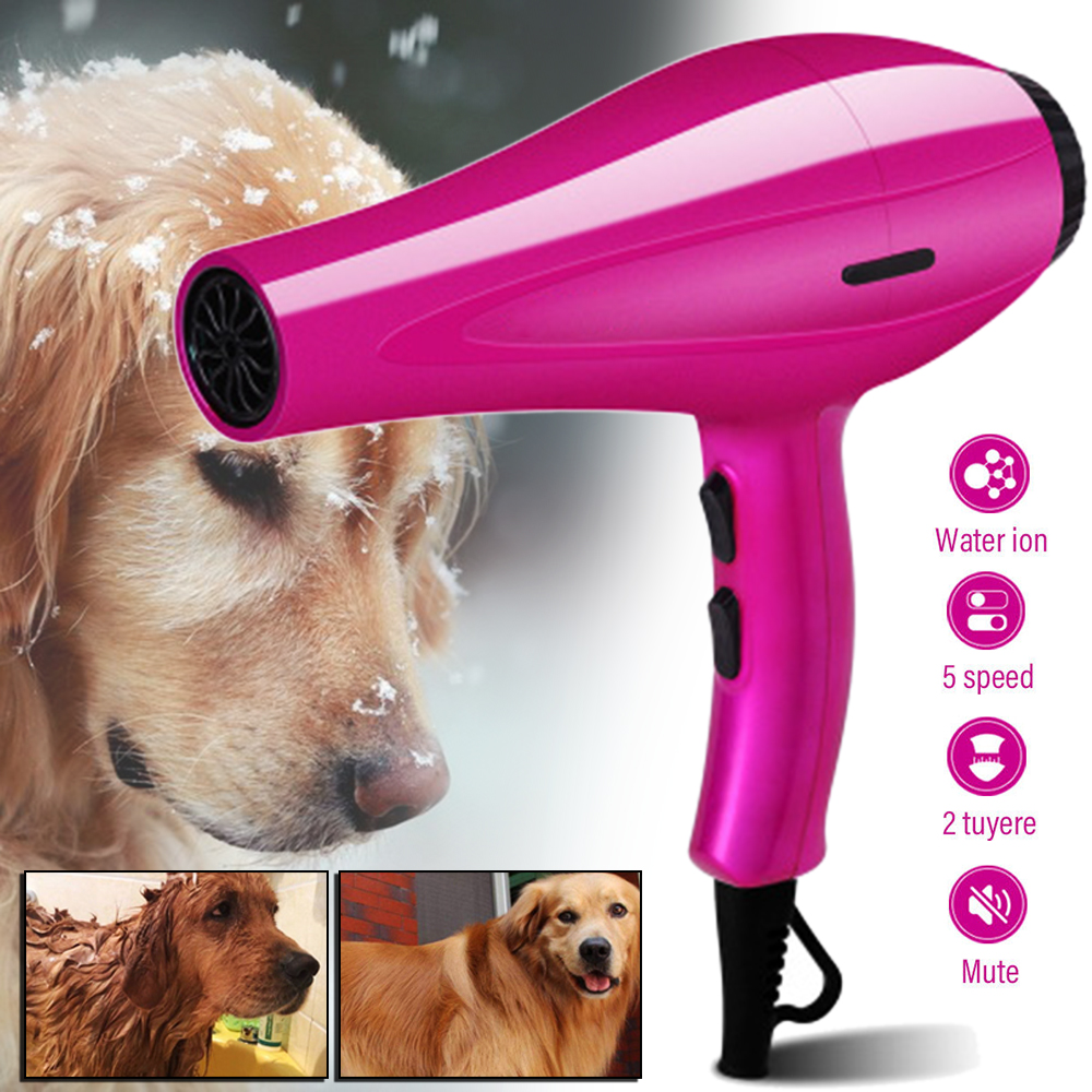 Pet blow clearance dryer