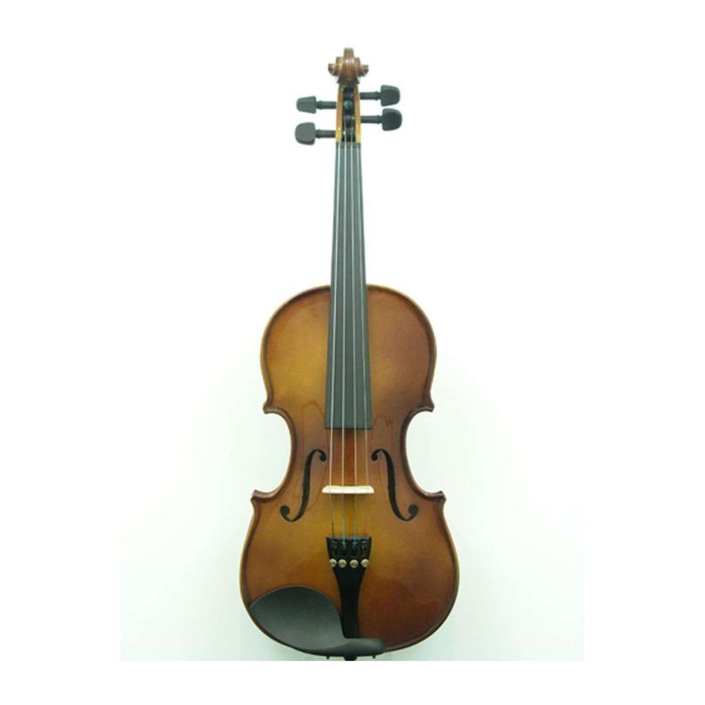Synwin Student Violin Outfit, Model SV1005 (4/4, 3/4, 1/2, 1/4, 1 