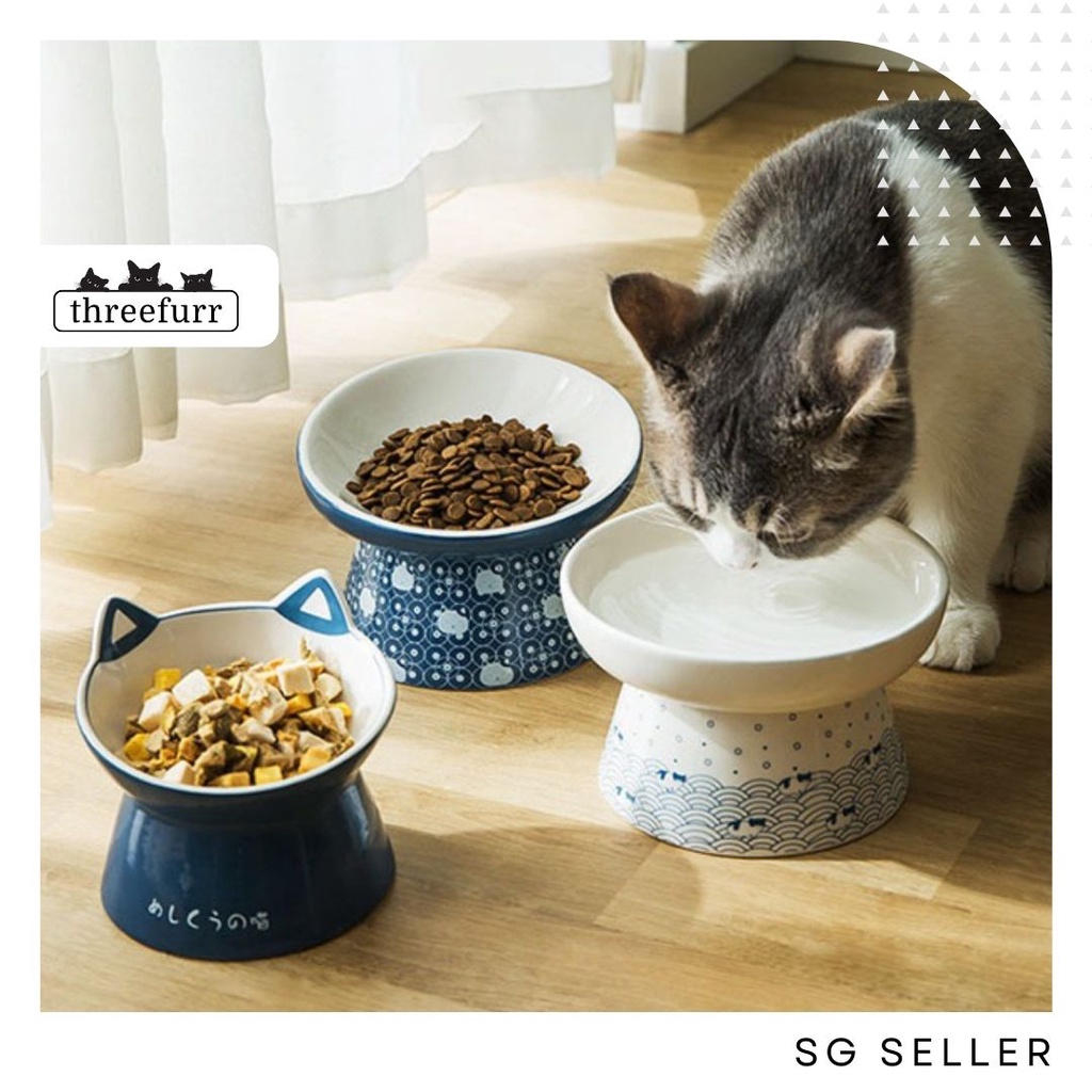 Elevated cat outlet food bowls