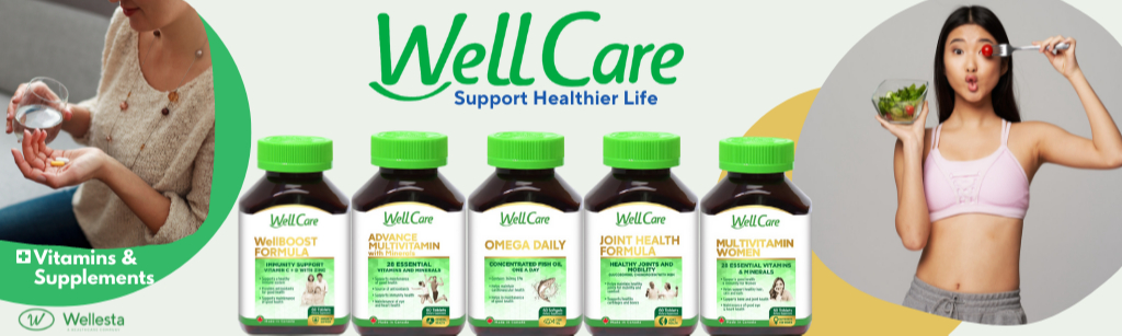 Wellesta Healthcare Official Store, Online Shop Nov 2024 | Shopee Singapore