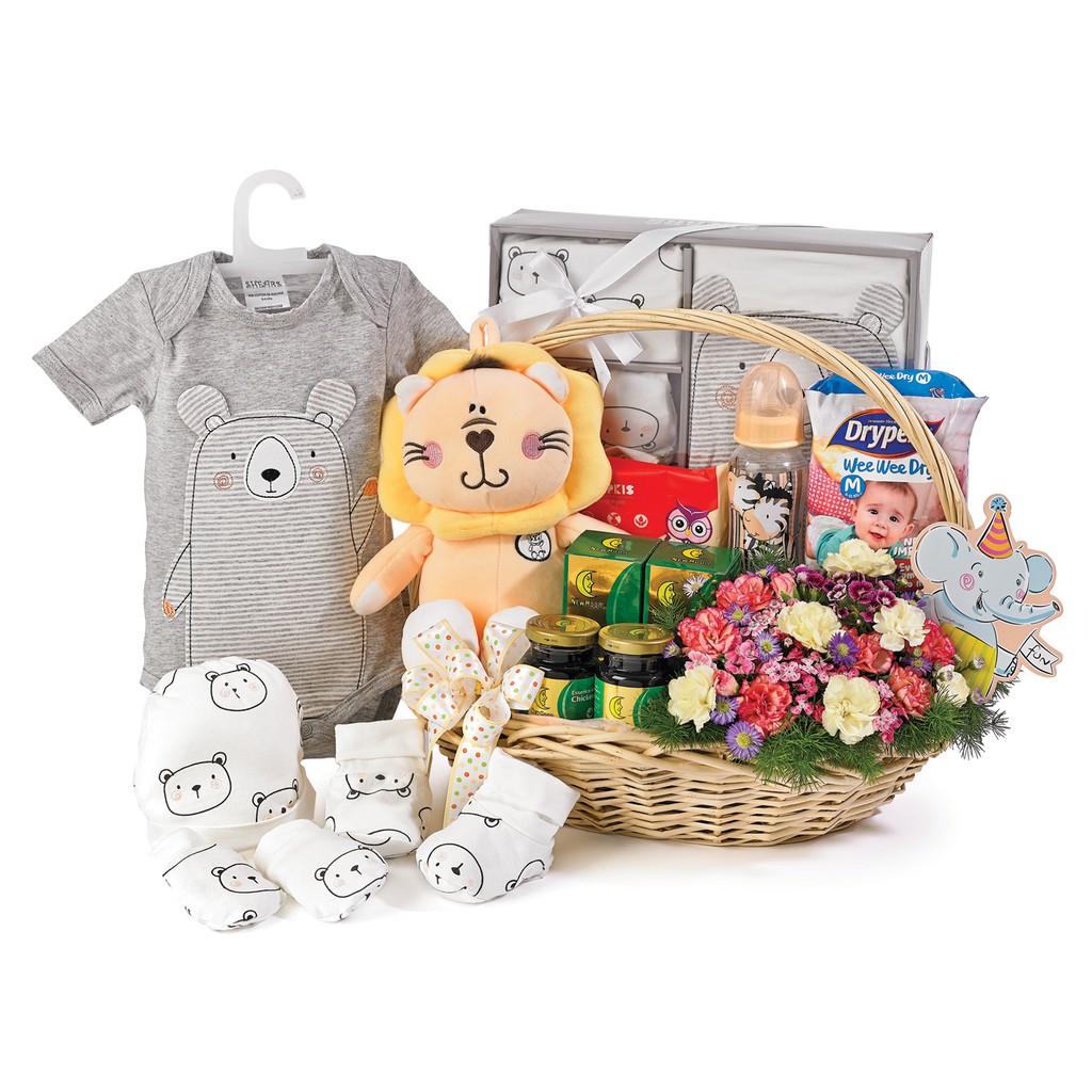 Noel baby hot sale hamper