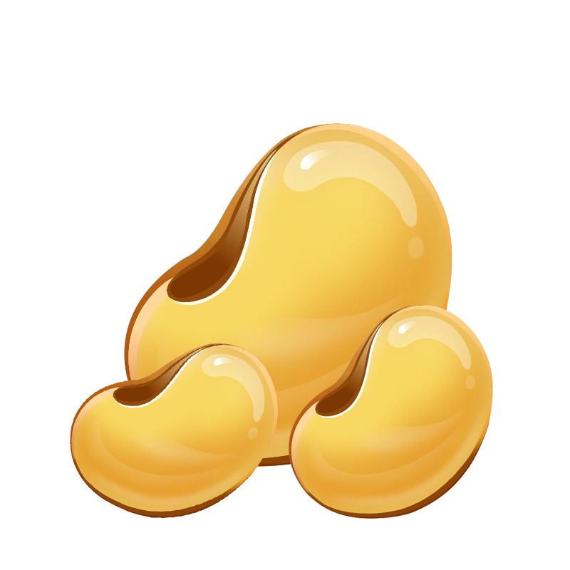 FUNBEANS.sg, Online Shop | Shopee Singapore