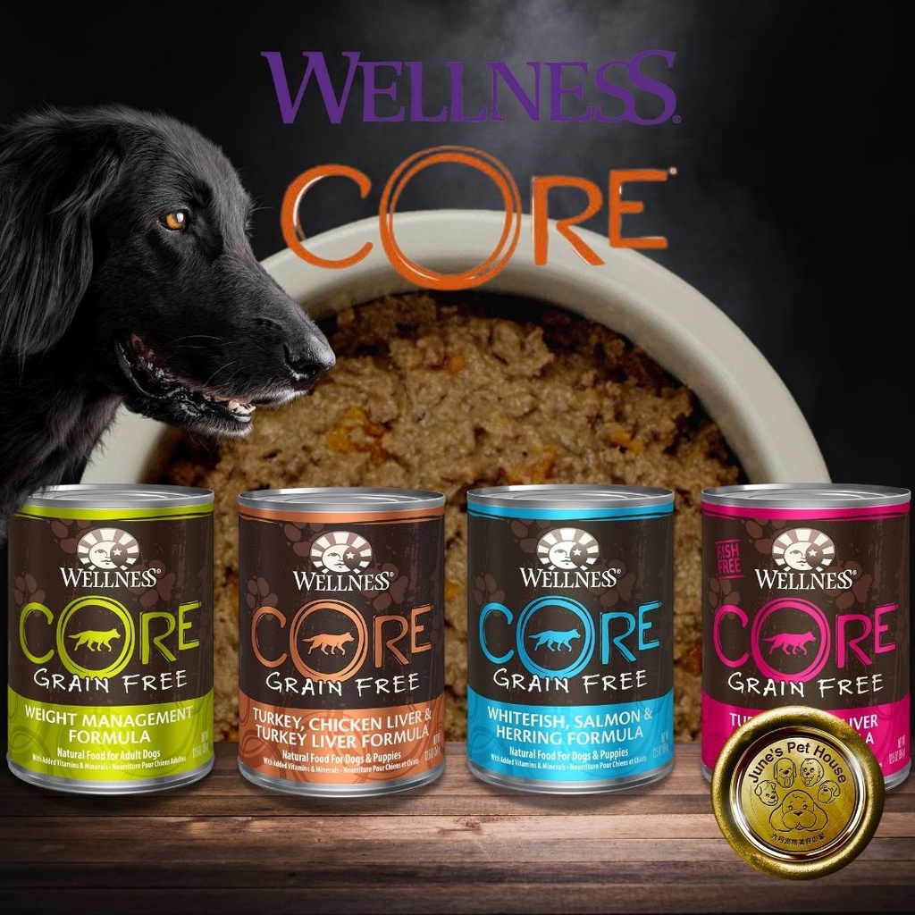 Wellness Core Grain Free Canned Wet Dog Food Pate Shopee Singapore