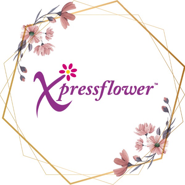 Pte Ltd Official Store , Online Shop Nov 2023 Shopee