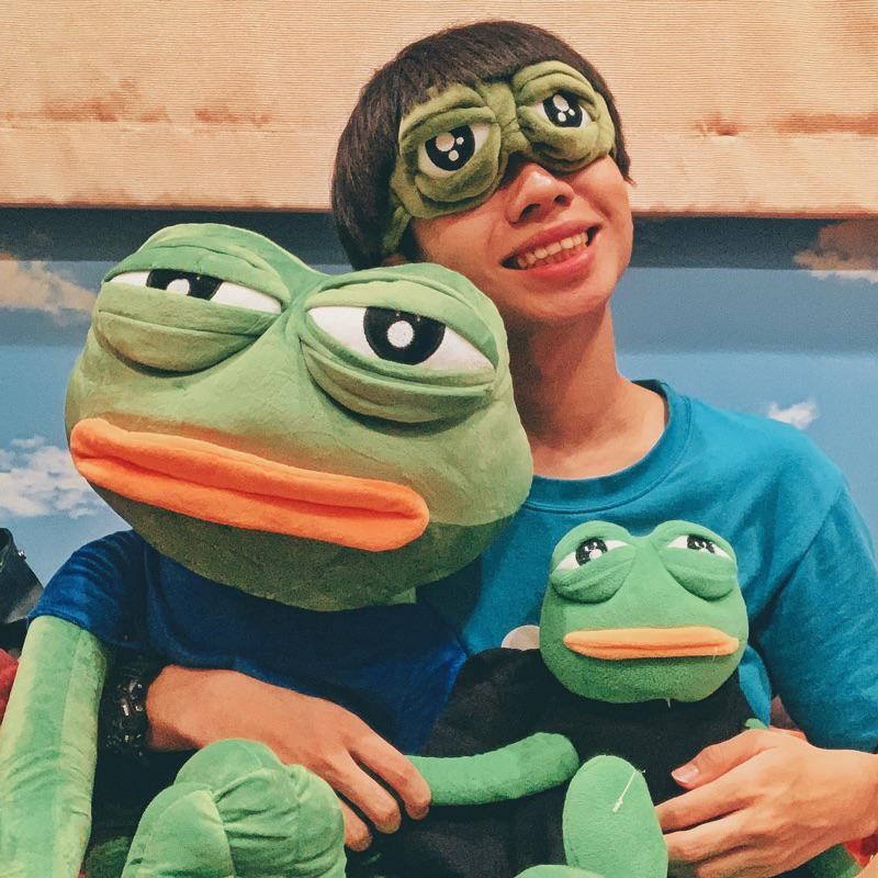 Pepe frog hot sale plush