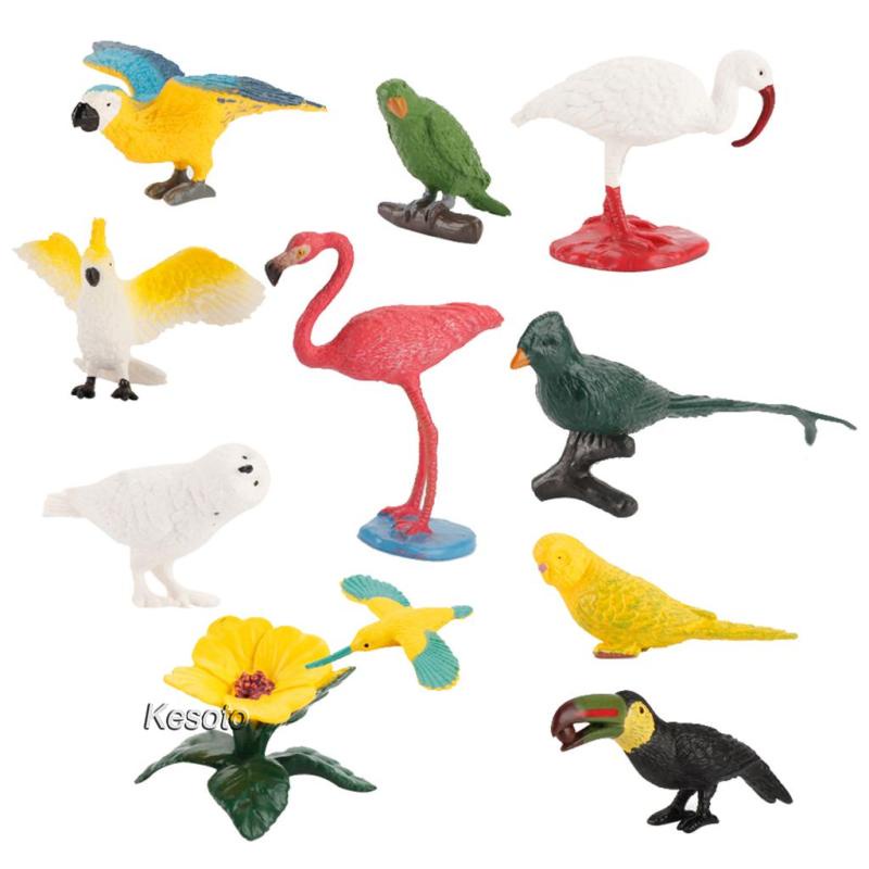 Educational 2024 bird toys