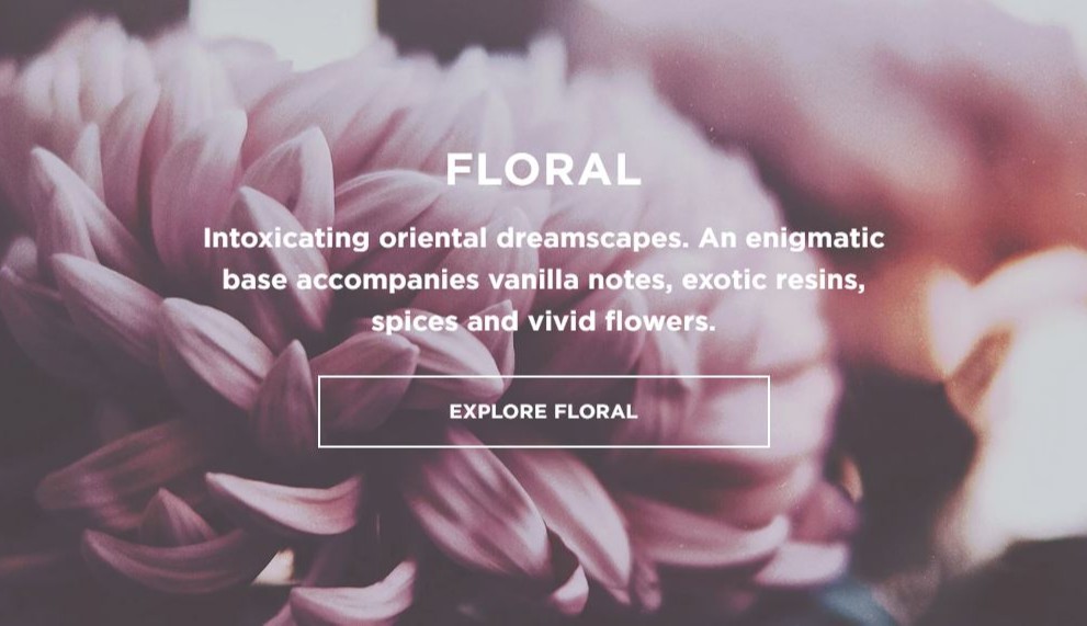 Ecoya Official Store, Online Shop Feb 2023 Shopee Singapore