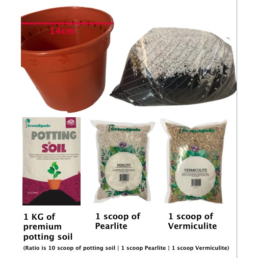 Potting Kit (x 10)