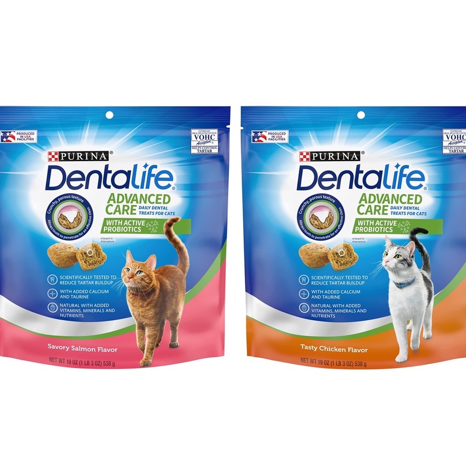 Dentalife cat 2024