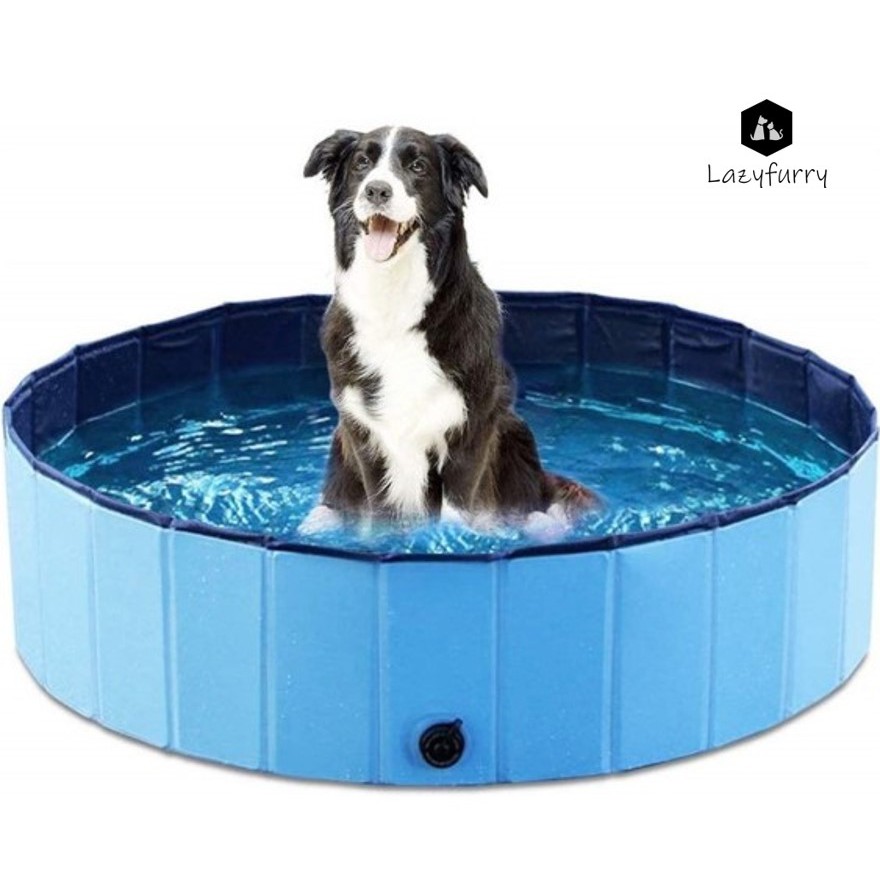 Inflatable pool for store dogs