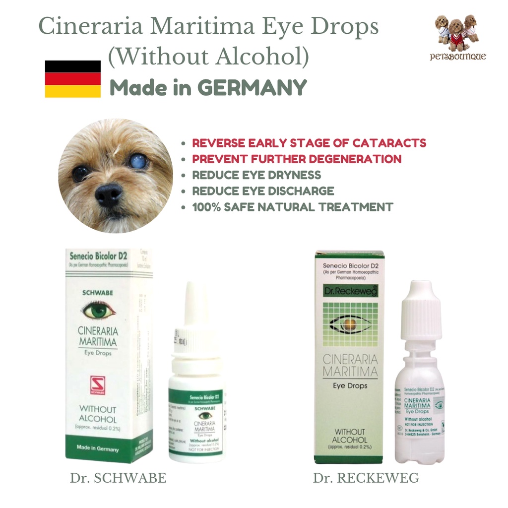 Homeopathic eye outlet drops for dogs