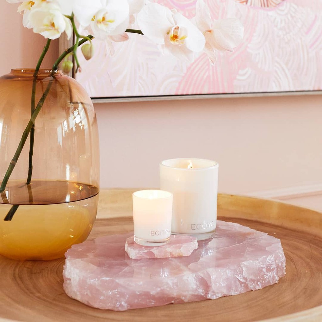 Ecoya Official Store, Online Shop Jul 2024 Shopee Singapore