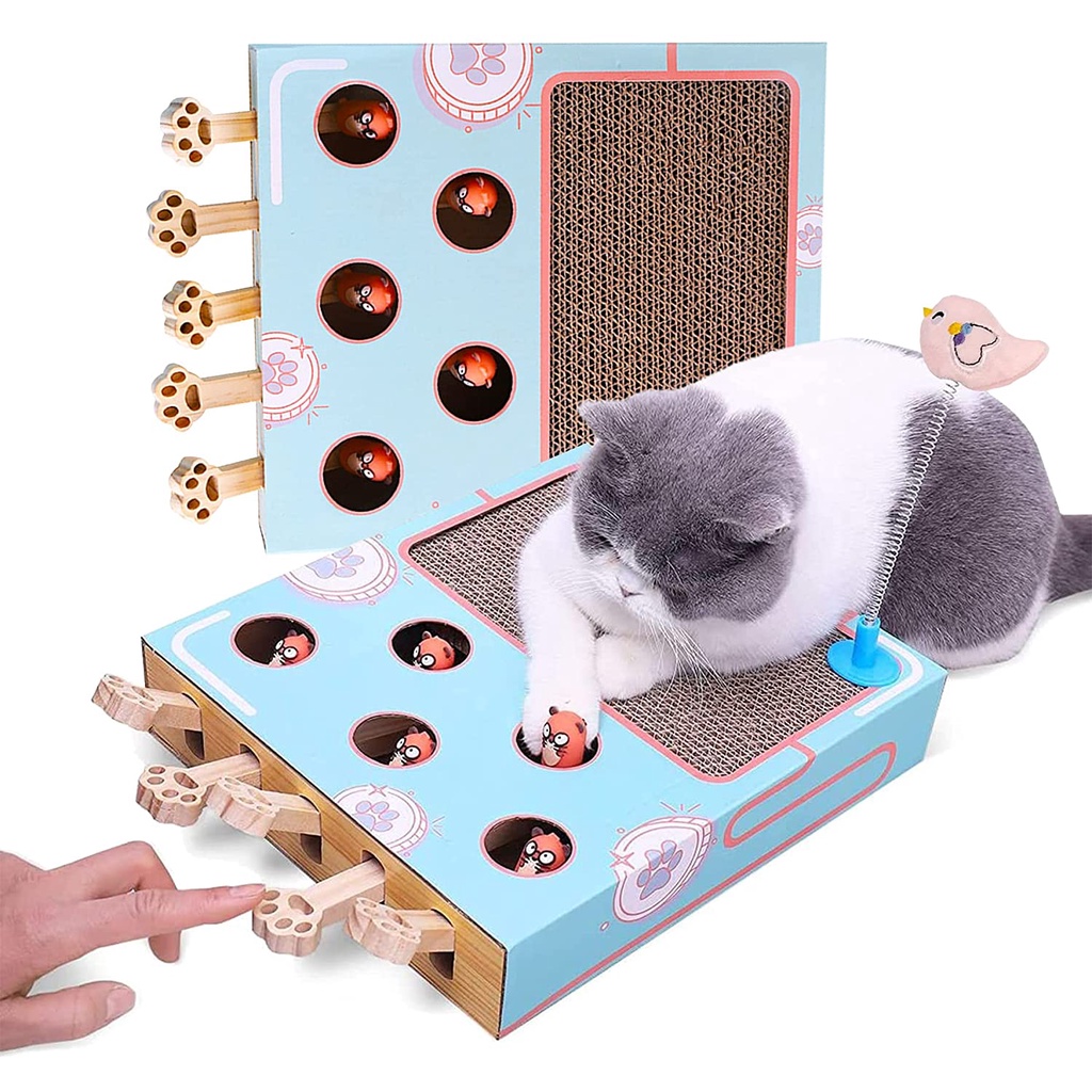 Clockwork Cat Teasing Toy, Cat Training Toy, Pet Interactive Toys