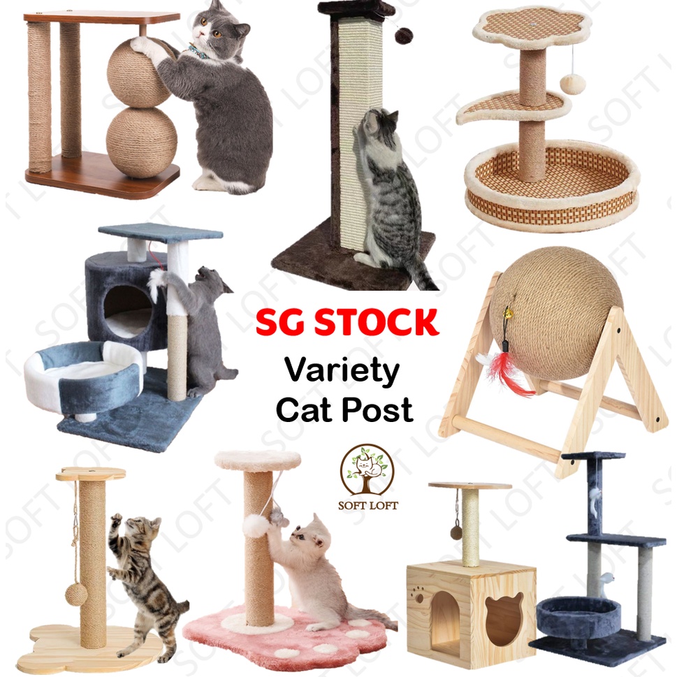 Cat 2025 scratcher shopee