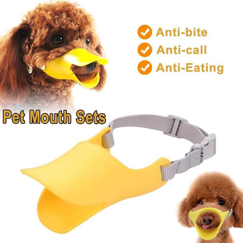 Dog deals duck muzzle