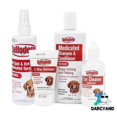 Sulfodene treatment for store dogs