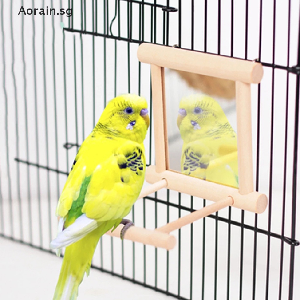 Parrot best sale mirror toys