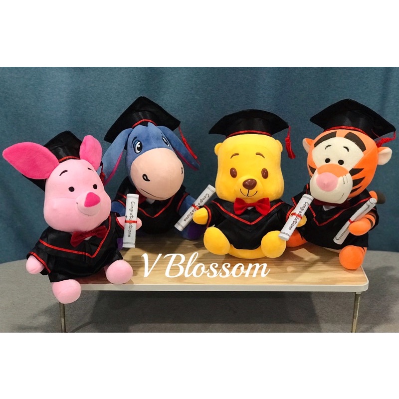 Winnie the shop pooh graduation bear