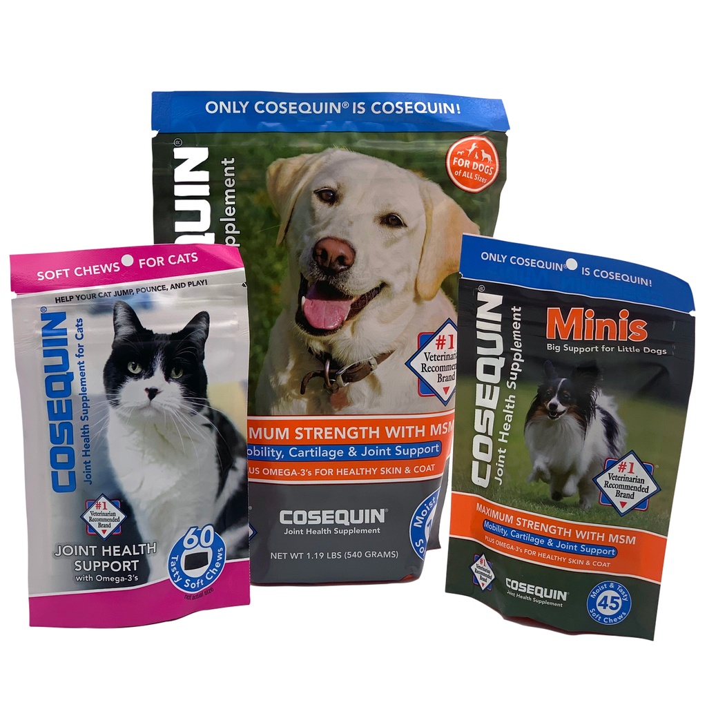 Cosequin soft clearance chews for cats