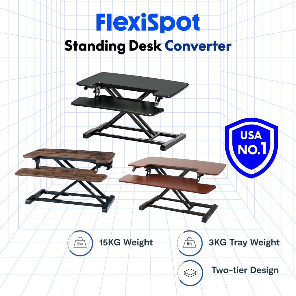 Flexispot canada on sale