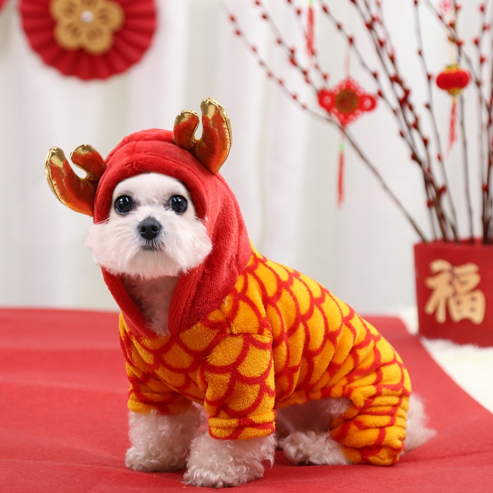 Dog costume 2024 lion dance