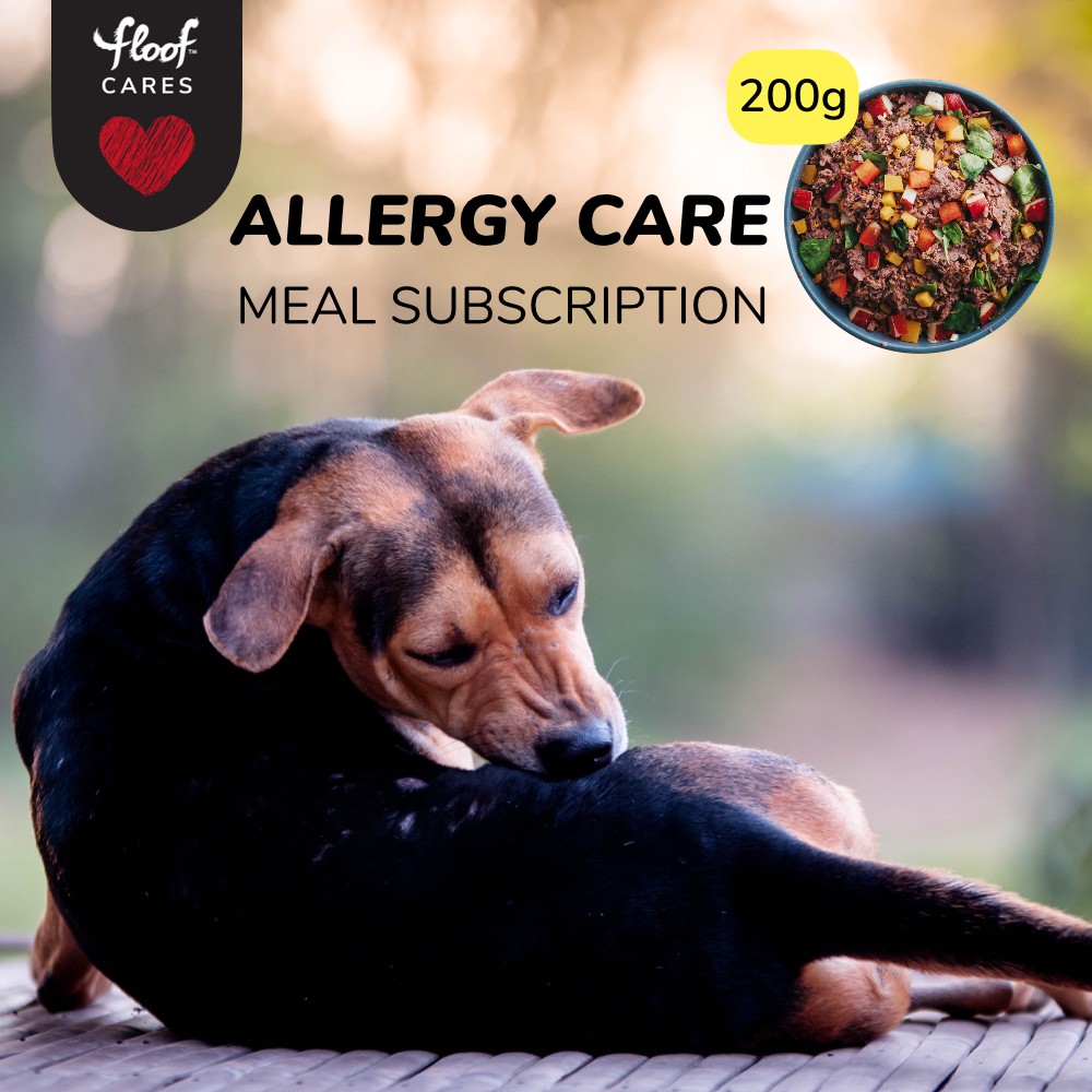 Allergy care dog food sale