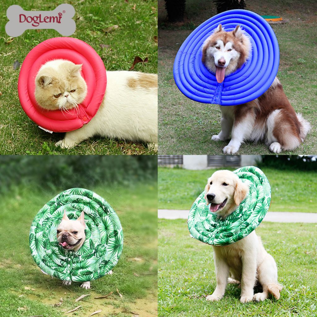 Cushion hotsell dog cone