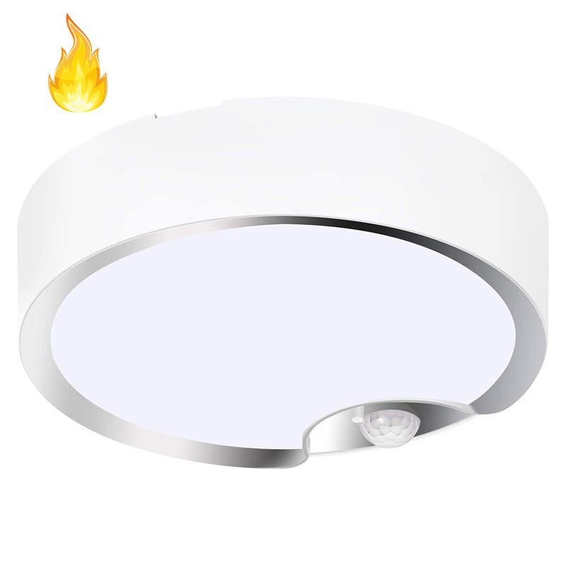 Battery operated ceiling lights with deals remote