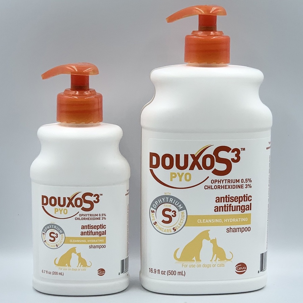 Douxo clearance chlorhex shampoo