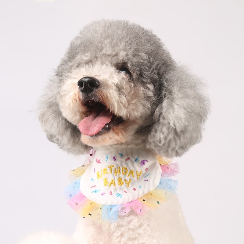 Kmart sales dog bandana