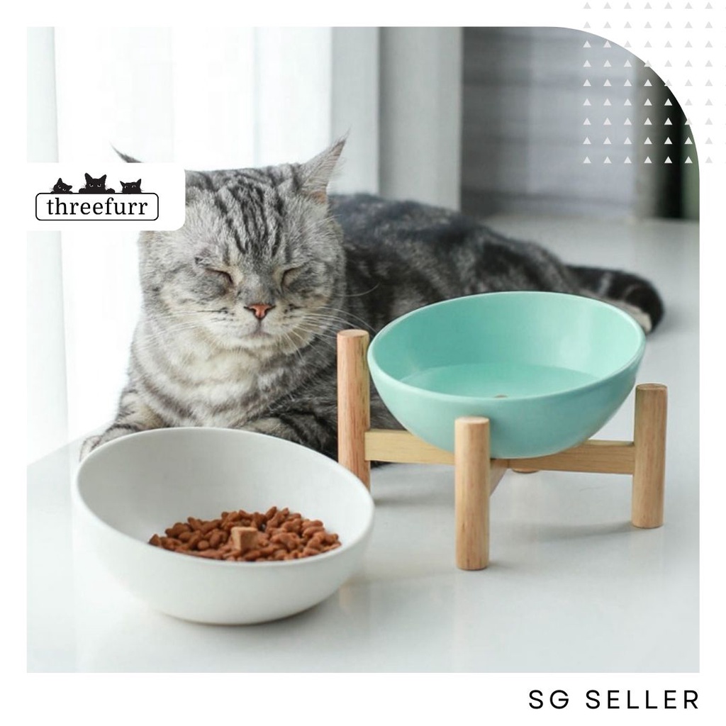 Elevated tilted 2025 cat bowls