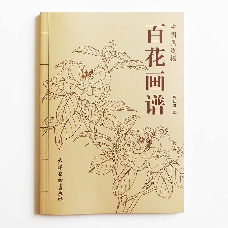 Adult Anti Stress Coloring Book Line Sketch Drawing Book Chinese