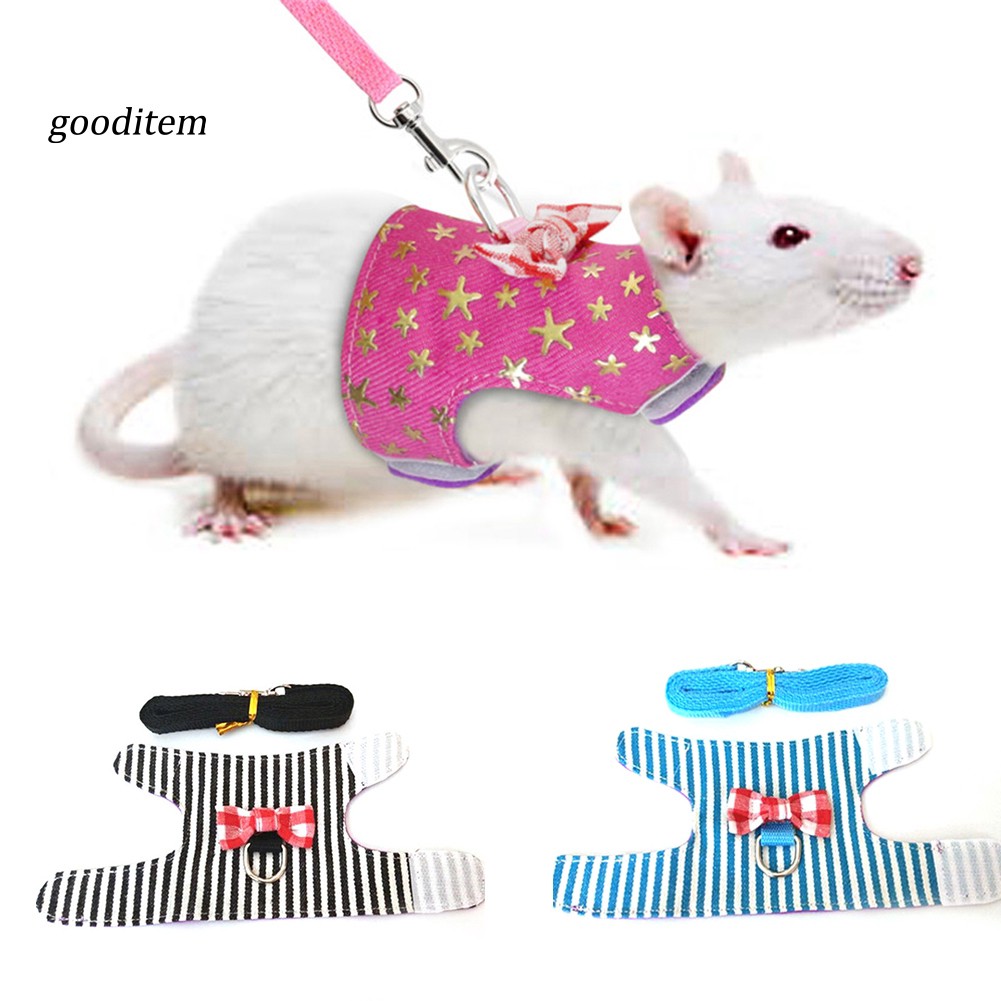 Pet rat cheap harness