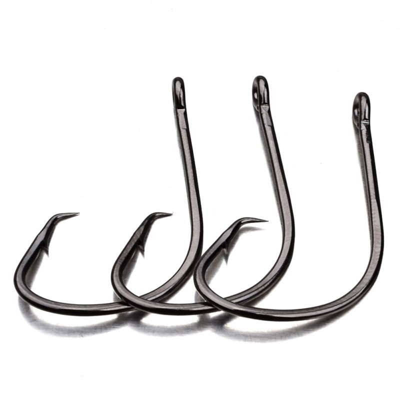 Fishing Hooks Round Fish Hook 1000 Pieces/Batch Eyed Fish Hook clamp Hook  Barbed Fish Hook Fishing Accessories Fish Hooks (Color : Head with Hook  Hole, Size : 11) : : Sports & Outdoors