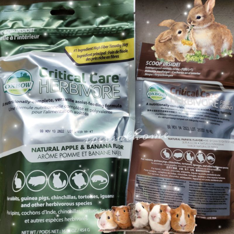 Oxbow critical hotsell care for rabbits