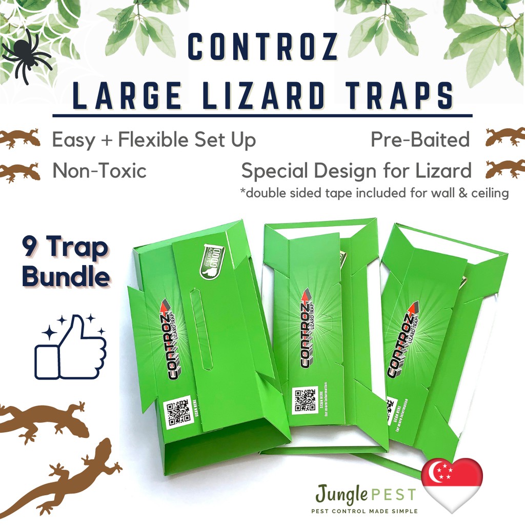 Lizard Glue Trap EN-167 | Poison-free | Effective | 3 PC PACK