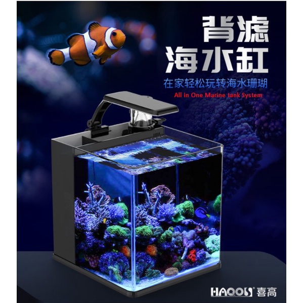 LOCAL SELLER HAOOS All in One saltwater marine reef nano tank