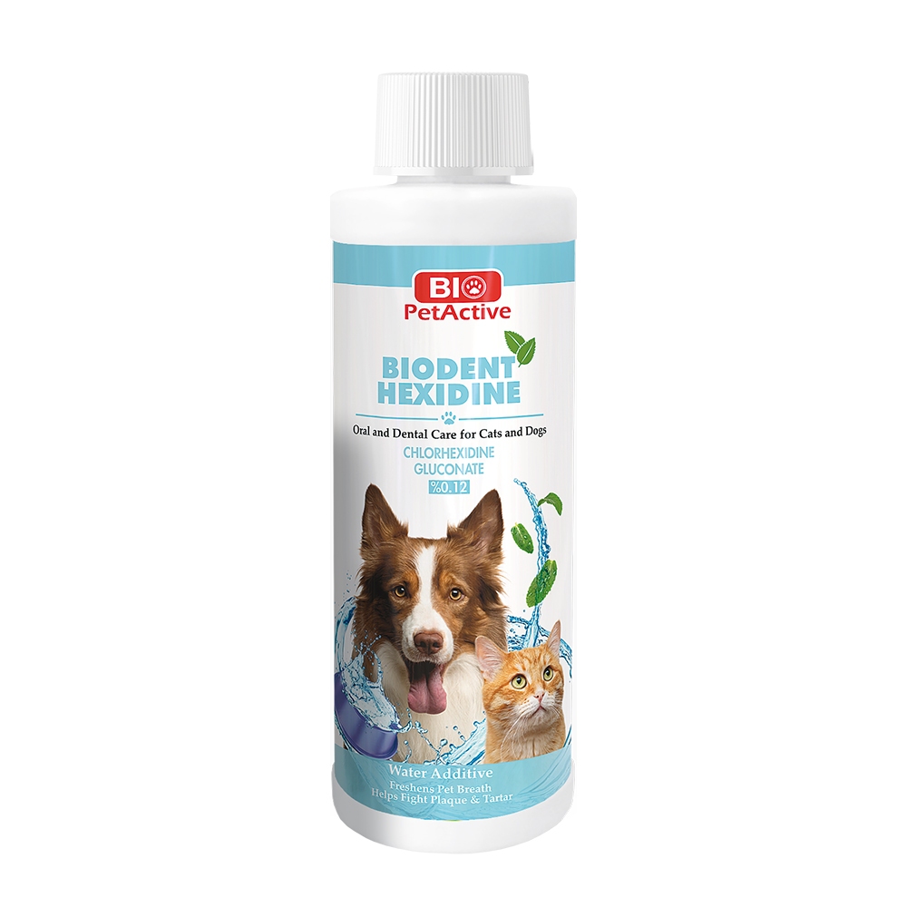 Chlorhexidine water outlet additive for dogs