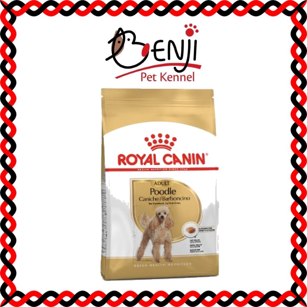 Royal best sale canin poodle